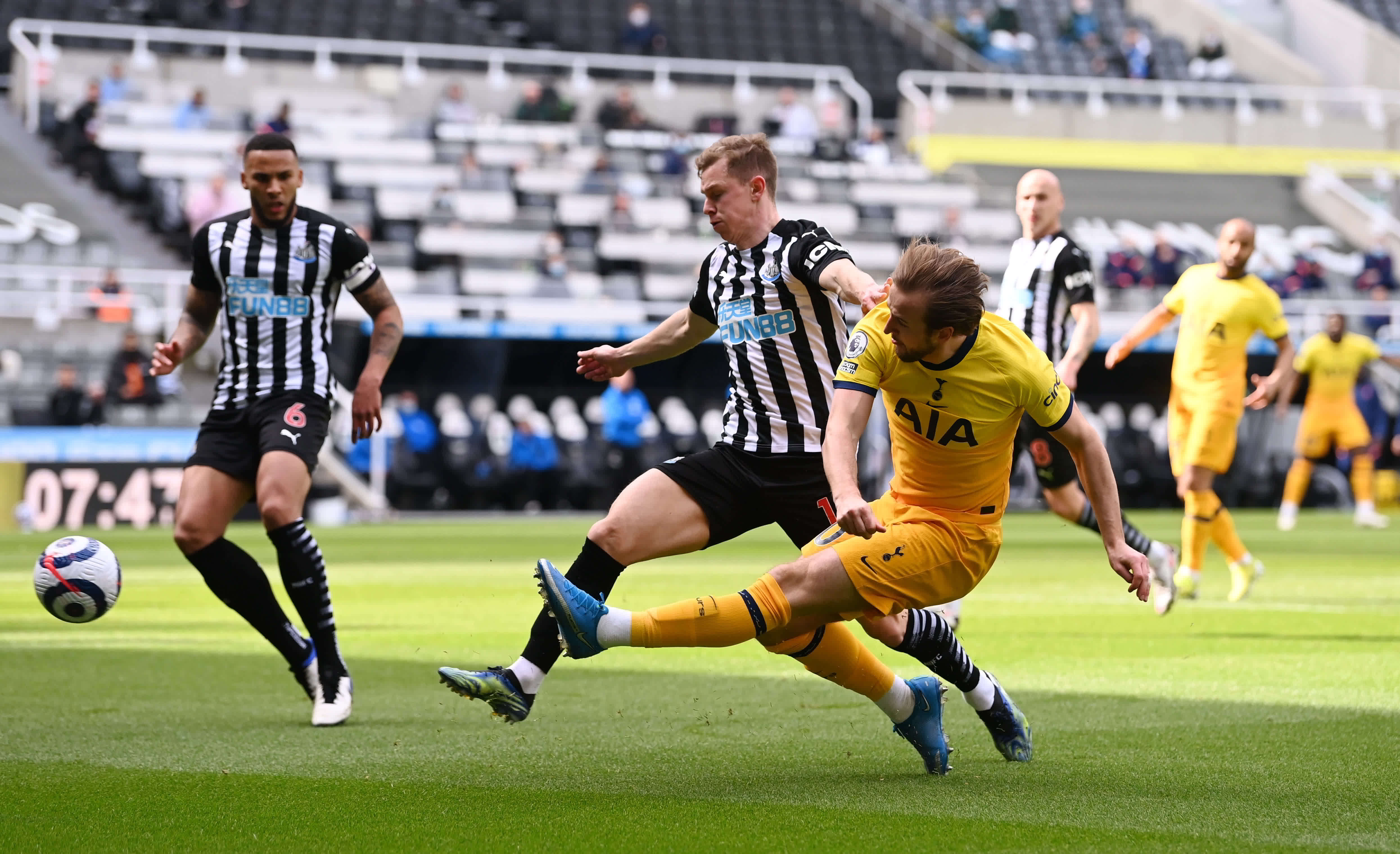 灰熊为何愿 灰熊为何愿